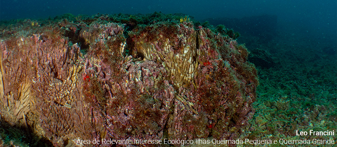 Área de Relevante Interesse Ecológico Ilhas da Queimada Pequena e Queimada Grande
